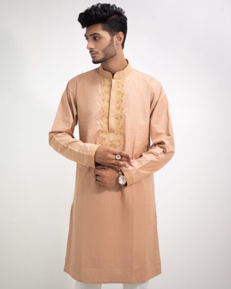 Light Brown Embroidery Punjabi